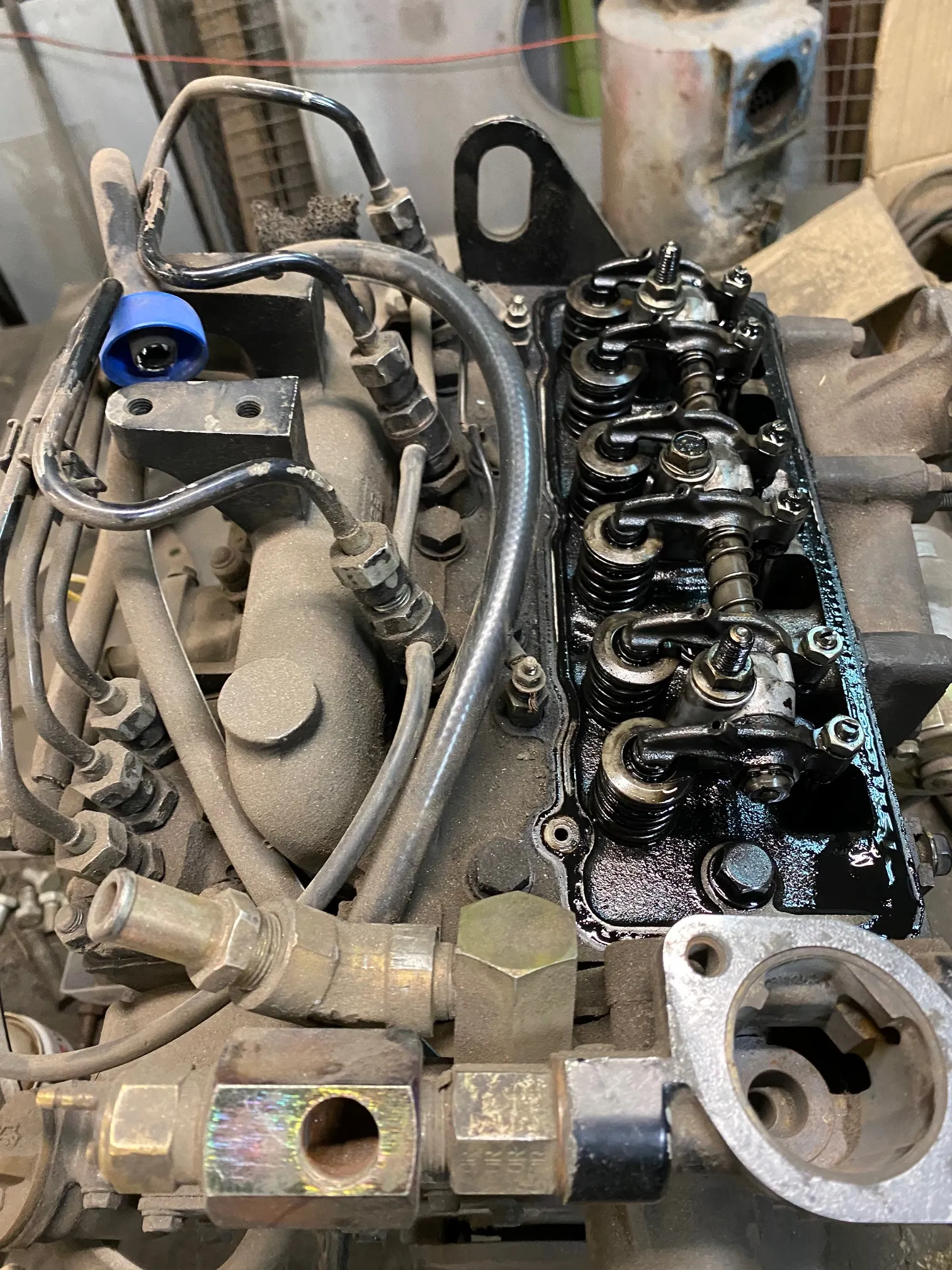 javitas 8